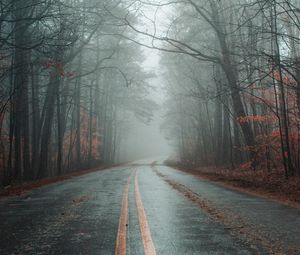 Preview wallpaper road, fog, forest, autumn, marking, asphalt