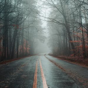 Preview wallpaper road, fog, forest, autumn, marking, asphalt