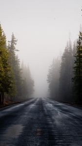 Preview wallpaper road, fog, forest, trees, asphalt