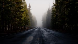 Preview wallpaper road, fog, forest, trees, asphalt