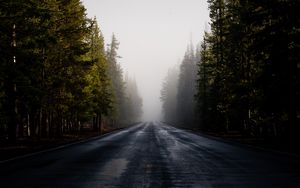 Preview wallpaper road, fog, forest, trees, asphalt