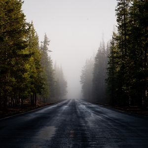 Preview wallpaper road, fog, forest, trees, asphalt