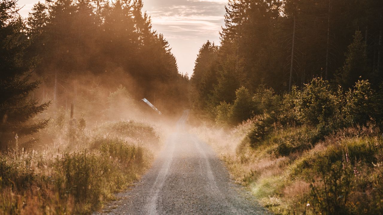 Wallpaper road, fog, grass, bushes, distance, forest