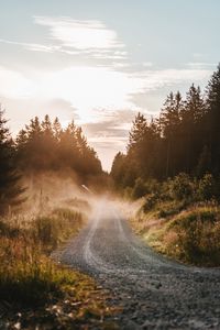 Preview wallpaper road, fog, grass, bushes, distance, forest