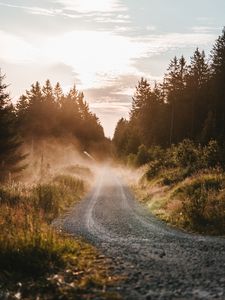 Preview wallpaper road, fog, grass, bushes, distance, forest
