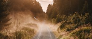 Preview wallpaper road, fog, grass, bushes, distance, forest