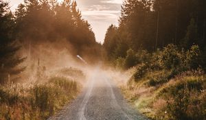 Preview wallpaper road, fog, grass, bushes, distance, forest