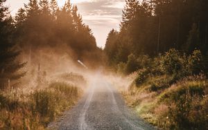 Preview wallpaper road, fog, grass, bushes, distance, forest