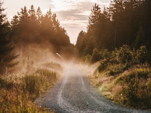 Preview wallpaper road, fog, grass, bushes, distance, forest