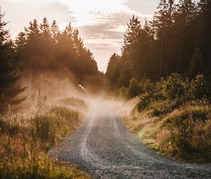 Preview wallpaper road, fog, grass, bushes, distance, forest