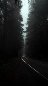 Preview wallpaper road, fog, lights, trees, dark, night