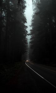 Preview wallpaper road, fog, lights, trees, dark, night