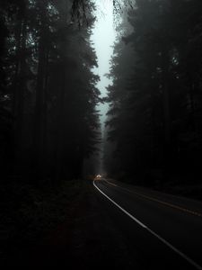 Preview wallpaper road, fog, lights, trees, dark, night