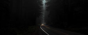 Preview wallpaper road, fog, lights, trees, dark, night