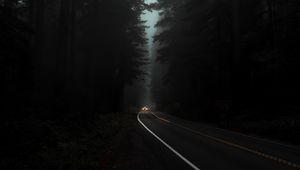 Preview wallpaper road, fog, lights, trees, dark, night