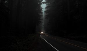 Preview wallpaper road, fog, lights, trees, dark, night