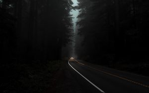 Preview wallpaper road, fog, lights, trees, dark, night