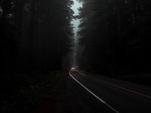 Preview wallpaper road, fog, lights, trees, dark, night