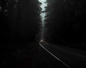 Preview wallpaper road, fog, lights, trees, dark, night