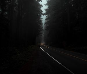 Preview wallpaper road, fog, lights, trees, dark, night