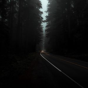 Preview wallpaper road, fog, lights, trees, dark, night