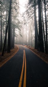 Preview wallpaper road, fog, marking, forest, trees