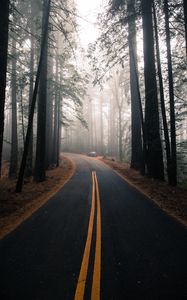 Preview wallpaper road, fog, marking, forest, trees