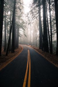 Preview wallpaper road, fog, marking, forest, trees