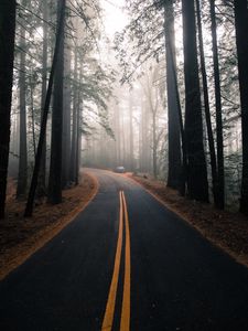 Preview wallpaper road, fog, marking, forest, trees