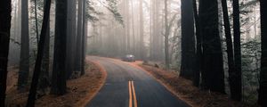 Preview wallpaper road, fog, marking, forest, trees