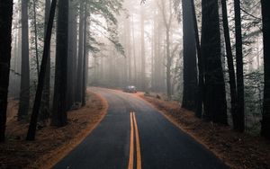 Preview wallpaper road, fog, marking, forest, trees