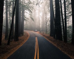 Preview wallpaper road, fog, marking, forest, trees