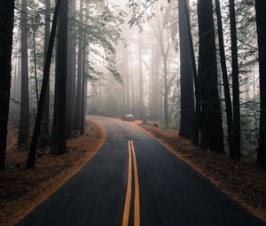 Preview wallpaper road, fog, marking, forest, trees