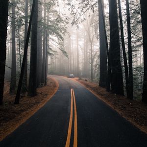 Preview wallpaper road, fog, marking, forest, trees