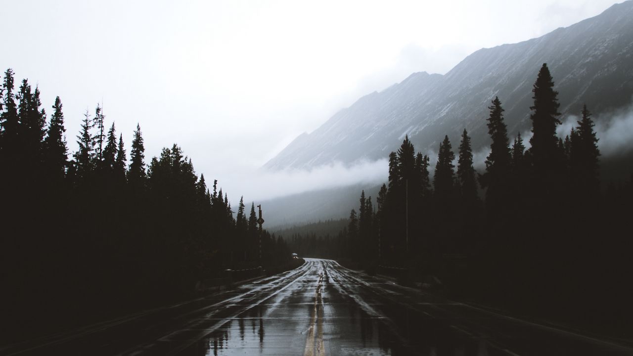 Wallpaper road, fog, marking, mountains, wet, alberta, canada