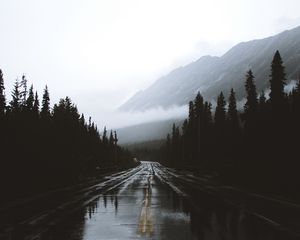 Preview wallpaper road, fog, marking, mountains, wet, alberta, canada