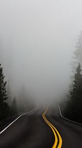 Preview wallpaper road, fog, marking, asphalt, turn, trees