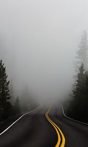 Preview wallpaper road, fog, marking, asphalt, turn, trees