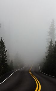 Preview wallpaper road, fog, marking, asphalt, turn, trees