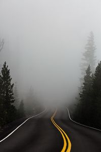 Preview wallpaper road, fog, marking, asphalt, turn, trees