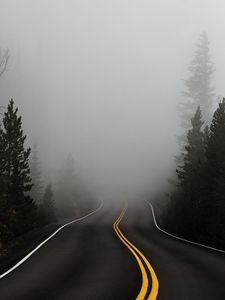 Preview wallpaper road, fog, marking, asphalt, turn, trees
