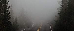 Preview wallpaper road, fog, marking, asphalt, turn, trees