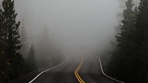 Preview wallpaper road, fog, marking, asphalt, turn, trees