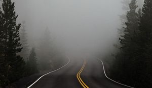 Preview wallpaper road, fog, marking, asphalt, turn, trees