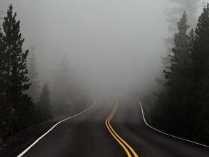 Preview wallpaper road, fog, marking, asphalt, turn, trees