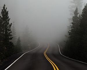 Preview wallpaper road, fog, marking, asphalt, turn, trees