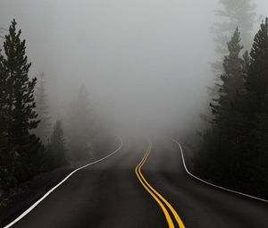 Preview wallpaper road, fog, marking, asphalt, turn, trees