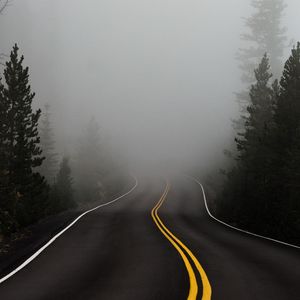 Preview wallpaper road, fog, marking, asphalt, turn, trees