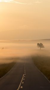 Preview wallpaper road, fog, marking, tree