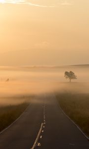 Preview wallpaper road, fog, marking, tree